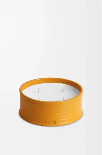 Candela da esterno allo zenzero Arancia