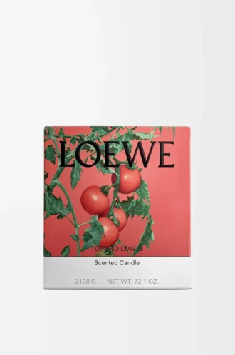 Candela grande Tomato Leaves Rossa