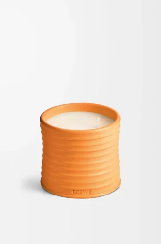 Candela media ai fiori d’arancio Mandarino brillante