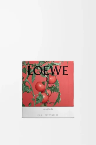 Candela media Foglie di pomodoro Rossa