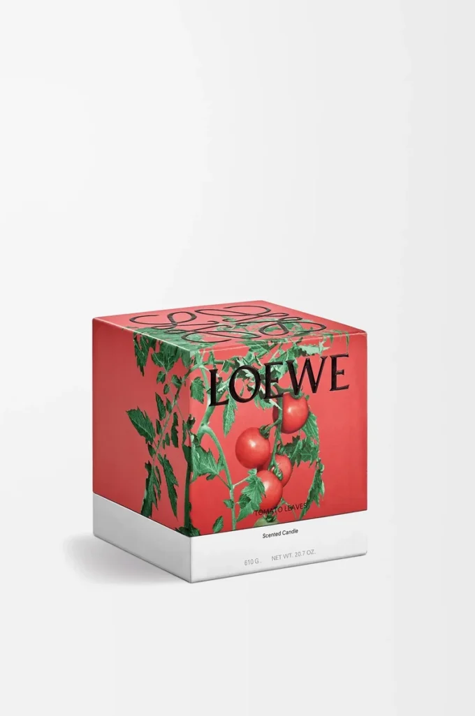 Candela media Foglie di pomodoro Rossa Candela media Foglie di pomodoro Rossa