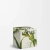 Candela profumata Midi Black Sesame Argento