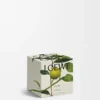 Candela profumata Midi Earl Grey Oro