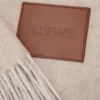 Coperta in lana e cashmere Beige/Ecru Coperta in lana e cashmere Beige/Ecru