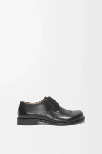 Derby brogue Campo in pelle di vitello spazzolata Nero
