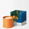 Grande candela ai fiori d’arancio Mandarino brillante Grande candela ai fiori d’arancio Mandarino brillante