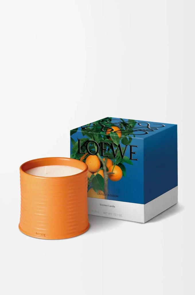 Grande candela ai fiori d’arancio Mandarino brillante Grande candela ai fiori d’arancio Mandarino brillante