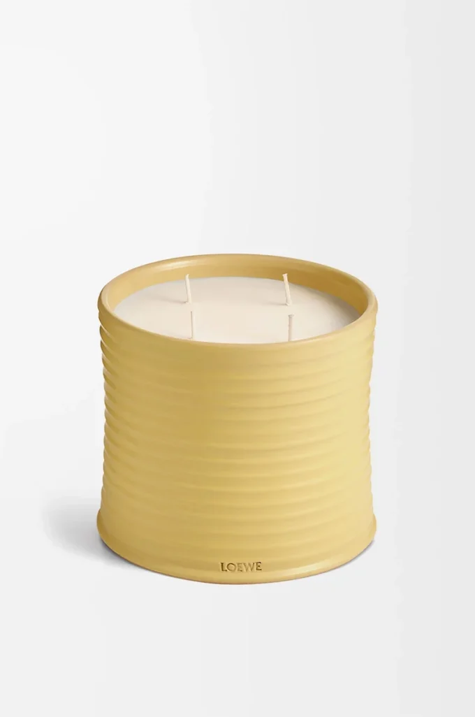 Grande candela Caprifoglio Giallo