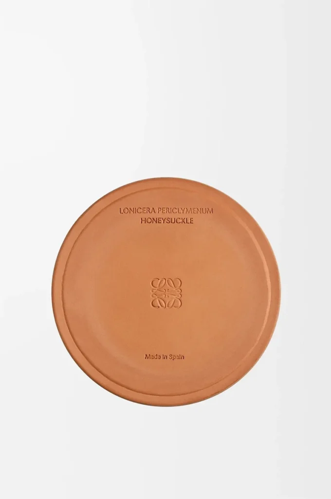 Grande candela Caprifoglio Giallo