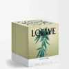 Grande candela profumata al profumo di marijuana Verde scuro Grande candela profumata al profumo di marijuana Verde scuro