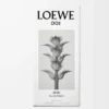 LOEWE 001 Man Eau de Toilette 50 ml Incolore LOEWE 001 Man Eau de Toilette 50 ml Incolore