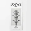 LOEWE 001 Man Eau de Toilette 50 ml Incolore LOEWE 001 Man Eau de Toilette 50 ml Incolore