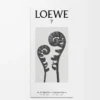 LOEWE 7 Eau de Toilette 50 ml Incolore LOEWE 7 Eau de Toilette 50 ml Incolore