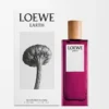 LOEWE Earth Eau de Parfum 50 ml Viola LOEWE Earth Eau de Parfum 50 ml Viola