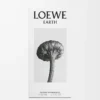 LOEWE Earth Eau de Parfum 50 ml Viola LOEWE Earth Eau de Parfum 50 ml Viola