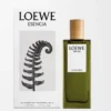 LOEWE Esencia Eau de Parfum 50 ml Incolore LOEWE Esencia Eau de Parfum 50 ml Incolore