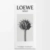 LOEWE Solo Eau de Toilette 50 ml Incolore