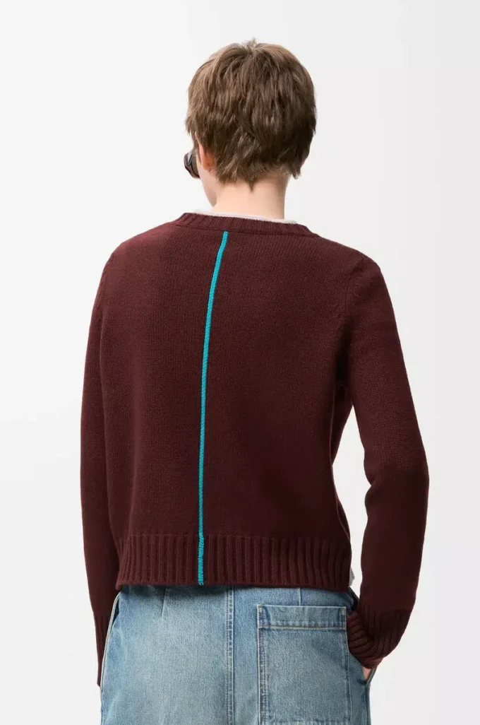 Maglione in cashmere bordeaux/multicolore Maglione in cashmere bordeaux/multicolore