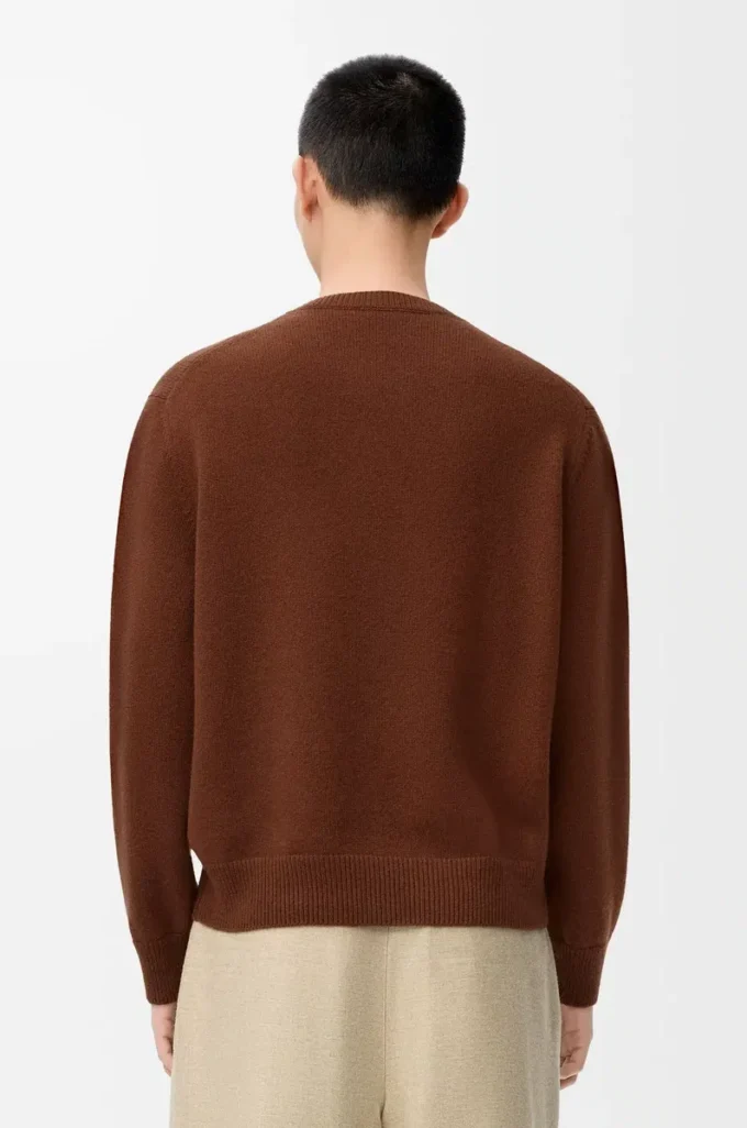Maglione in lana marrone