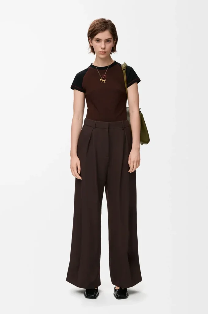 Pantaloni in lana Marroni