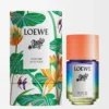Paula’s Ibiza Eclectic Eau de Toilette 50 ml Incolore Paula’s Ibiza Eclectic Eau de Toilette 50 ml Incolore
