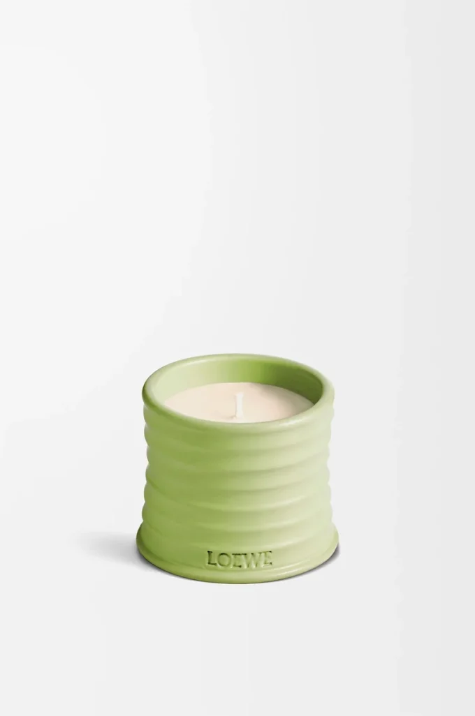 Piccola candela al cetriolo Verde chiaro Piccola candela al cetriolo Verde chiaro