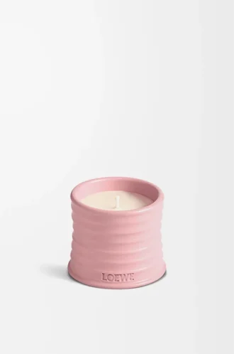 Piccola candela al profumo di edera Rosa chiaro