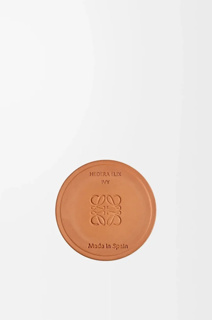 Piccola candela al profumo di edera Rosa chiaro Piccola candela al profumo di edera Rosa chiaro