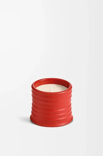 Piccola candela alle foglie di pomodoro Rosso