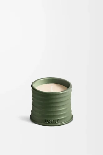 Piccola candela profumata Scent of Marihuana Verde scuro Piccola candela profumata Scent of Marihuana Verde scuro