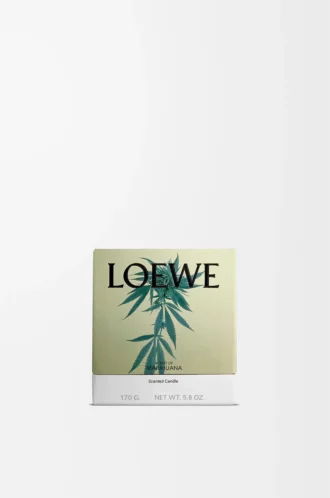 Piccola candela profumata Scent of Marihuana Verde scuro Piccola candela profumata Scent of Marihuana Verde scuro