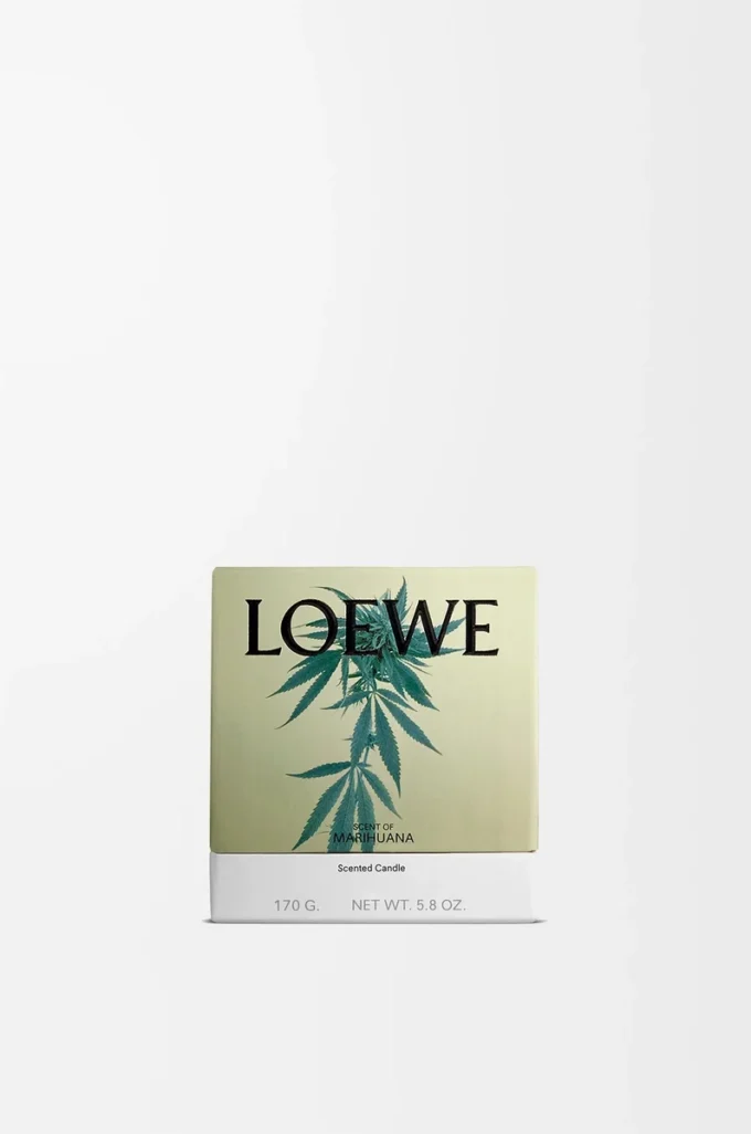 Piccola candela profumata Scent of Marihuana Verde scuro
