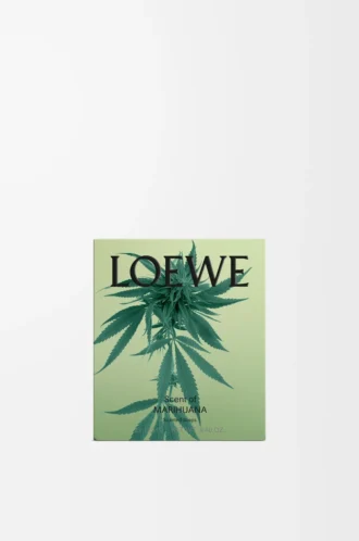 Saponette piccole Scent of Marihuana Verde scuro