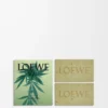 Saponette piccole Scent of Marihuana Verde scuro