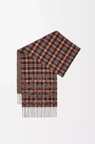 Sciarpa Anagram in seta e cashmere Marrone/Multicolore